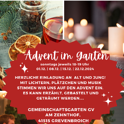 Advent im Garten