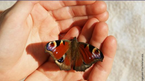 2025 08 14 Plakat webversion